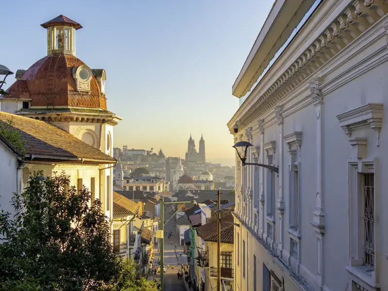 Quito bildet den Auftakt Ihrer Marco Polo Reise nach Ecuador: koloniale Altstadt, verwinkelte Gassen und prachtvolle Kirchen. Mit dem Marco Polo Scout bewegen wir uns durch 500 Jahre Archiktektur, Geschichte und Kunst – perfekt für den Einstieg ins Abenteuer in kleiner Gruppe.