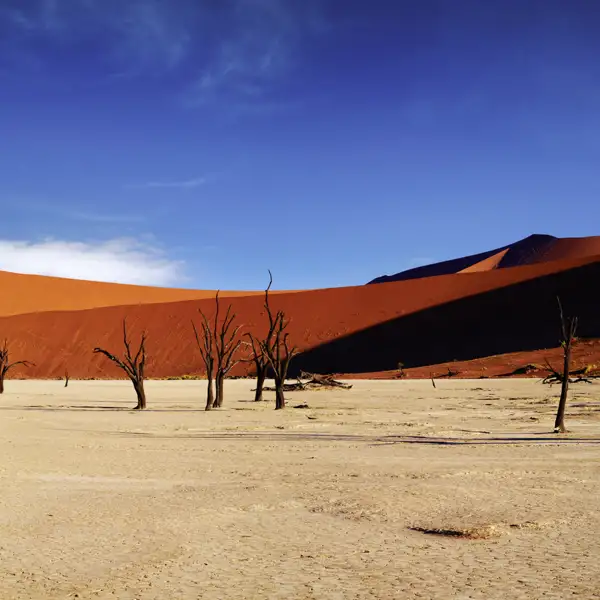 Während Ihrer Namibia-Rundreise besuchen wir das Dead Vlei und die weiteren Höhepunkte am Sossusvlei. Gut, dass unsere Lodge direkt am Eingang zum Nationalpark liegt!