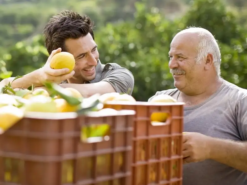 Nach einem kurzen Bummel durch Sorrent lernen wir auf unserer Rundreise auf einer Zitronenplantage bei Sorrent das Farmerleben von Valentina und Luigi kennen - samt gemeinsamem Imbiss.