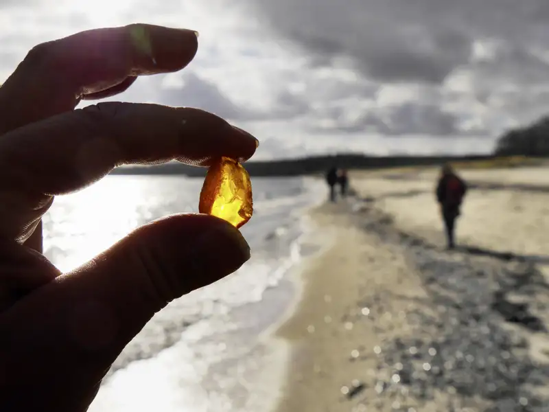 Mit etwas Glück finden wir bei einem Spaziergang an der Ostsee Bernstein auf unserer Reise durch das Baltikum.