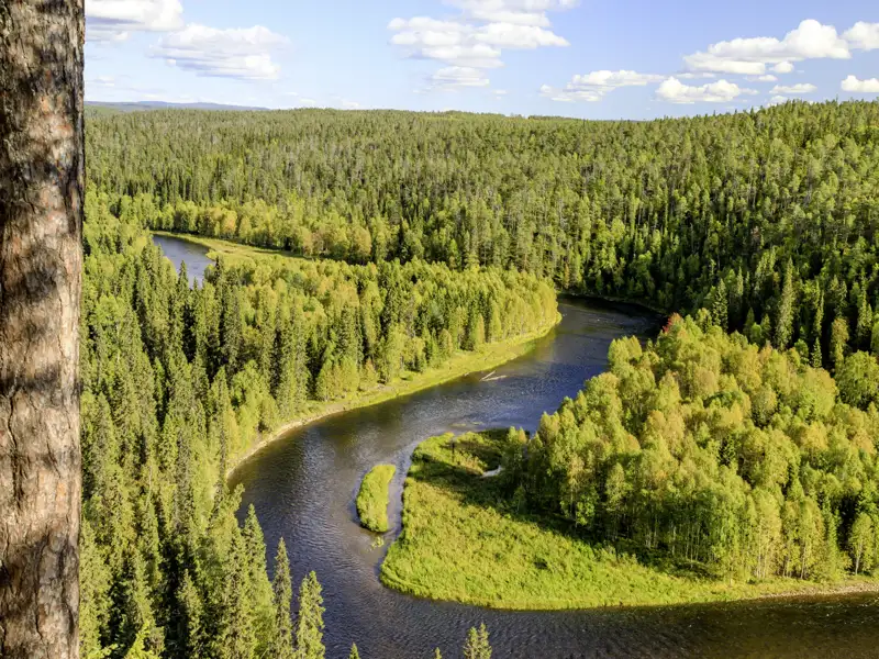 Auf unserer YOUNG LINE Reise nach Finnland tauchen wir tief in die Natur ein.