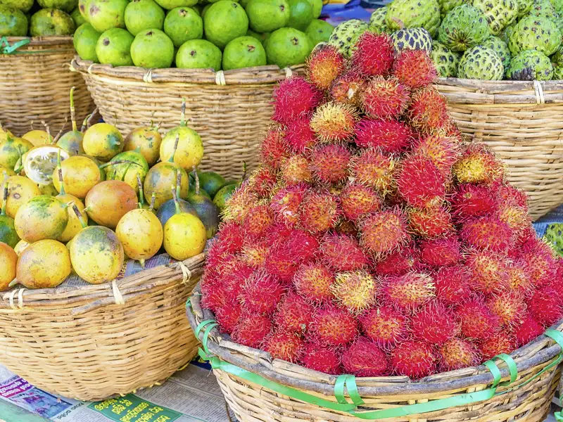 Bei Ihrer Rundreise durch Sri Lanka können Sie auch die frischen Rambutan-Früchte probieren.