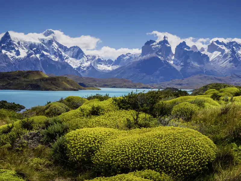 Skurrile Felsen, kalbende Gletscher und tosende Wasserfälle - zwei Tage sind wir auf unserer YOUNG LINE Rundreise durch Chile unterwegs im Nationalpark Torres del Paine.