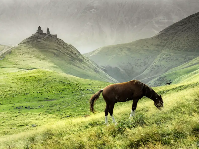 Auf Ihrer individuellen Rundreise durch Georgien unternehmen Sie einen Ausflug zur Gergeti-Dreifaltigkeitskirche - bei guter Sicht mit Ausblick auf den Kasbeg. Möglichkeit zu einer kleinen Wanderung.