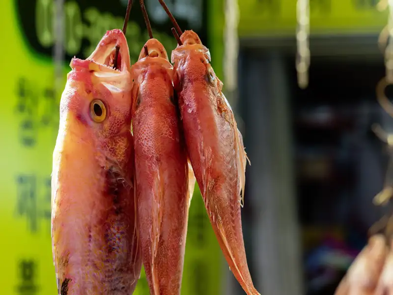 Auch auf dem Programm Ihrer individuellen Rundreise durch Südkorea: ein Bummel über den Jagalchi-Fischmarkt in Busan mit seinem überwältigenden Angebot an Fischen und Meeresfrüchten.