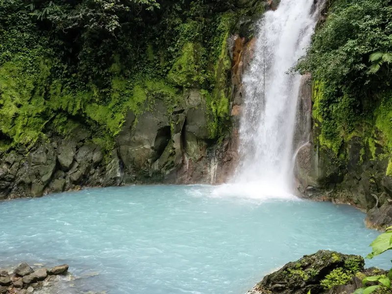 Auf Ihrer individuellen Rundreise durch Costa Rica wandern Sie im Regenwald, wo sich imTenorio-Nationalpark zwei Bäche farbenfroh zum Río Celeste vereinen.