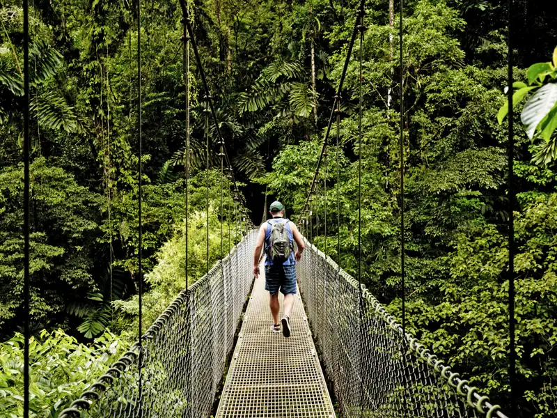 Lust auf ein luftiges Abenteuer? Auf Ihrer individuellen Rundreise durch Costa Rica eröffnet Ihnen im Monteverde-Nationalpark der Sky Walk ganz neue Perspektiven auf den Nebelwald.