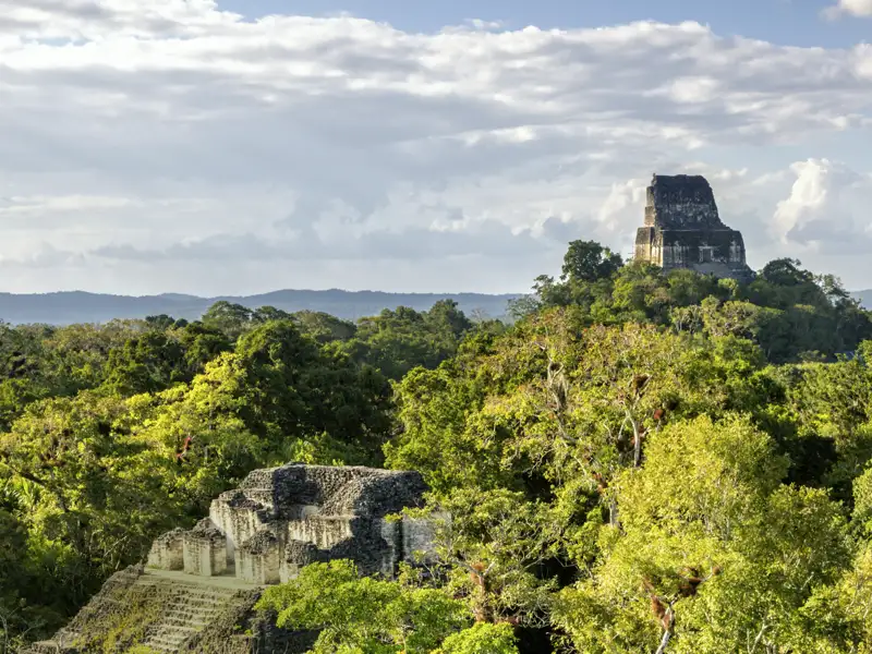 Mitten im Dschungel warten auf Ihrer individuellen Rundreise durch Guatemala die Mayaruinen von Tikal auf Sie - ringsum moosbedeckte Tempel, Paläste und Plätze, und im Dickicht verstecken sich Brüllaffen, Papageien und Nasenbären.