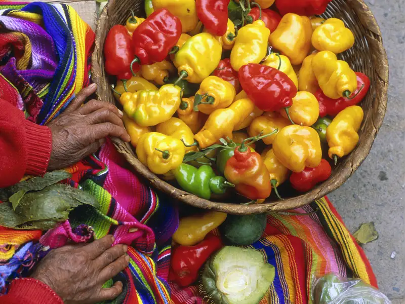 An der guatemaltekischen Landesküche führt auf Ihrer individuellen Rundreise durch Guatemala kein Weg vorbei.