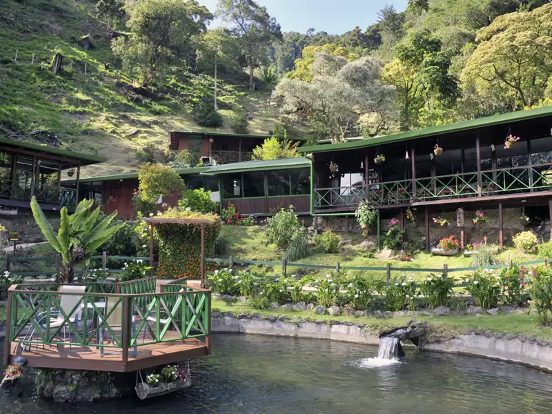 Auf Ihrer individuellen Mietwagen-Rundreise durch Costa Rica ist die Trogon Lodge in San Gerardo de Dota in der Kategoriie Standard der perfekte Ausgangspunkt für Tierbeobachtungen am Morgen.