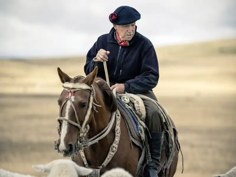 Während Ihrer individuellen Reise durch Chile begegnen Sie in Patagonien vielleicht sogar einem echten Gaucho auf seinem Pferd, der Ihnen etwas über die Gebräuche erzählt.