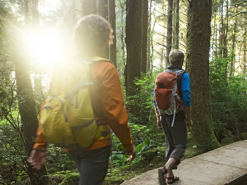 Auf dieser Individualreise durch Uganda findet Ihr Driver-Guide die schönsten Wege für Sie.