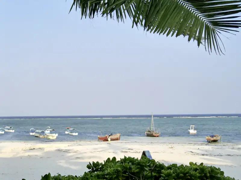 Am Ende Ihrer individuellen Rundreise durch Tansania erwartet Sie ein Badeaufenthalt an den Traumstränden Sansibars.