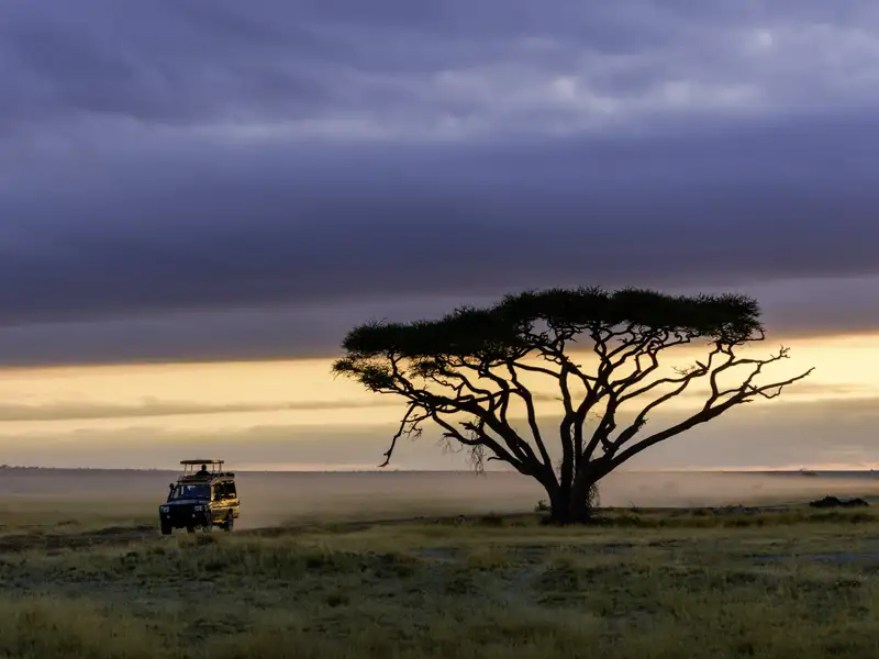 Die ostafrikanische Savanne mit ihren typischen Schirmakazien ist die perfekte Kulisse für den Sonnenuntergang.