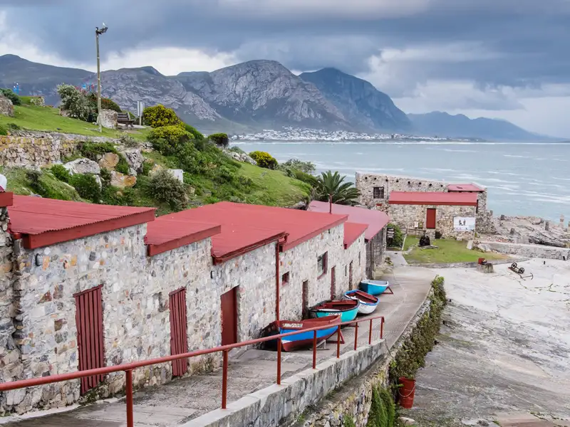Hermanus ist eine Station auf dieser individuellen Reise durch Südafrika. Zwischen Juli und November sieht man Wale in der Bucht direkt vom Strand aus.