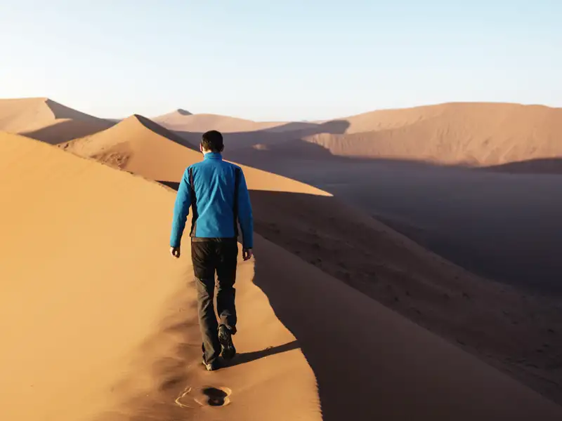 Auf Ihrer individuellen Rundreise durch das südliche Afrika erleben Sie Namibia in allen Facetten: Meeresrauschen, Wildlife in den Nationalparks und Dünenlandschaften.