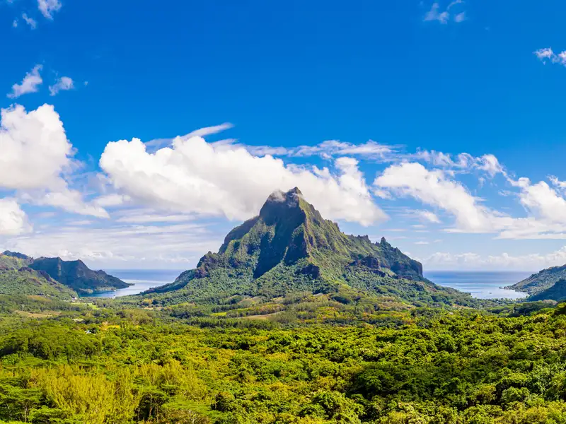Auf dem Programm Ihrer individuellen Südsee-Rundreise steht eine Inselrundfahrt auf Moorea mit Halt am Belvedere Lookout. Von dort haben Sie den perfekten Blick auf den Mount Rotui.