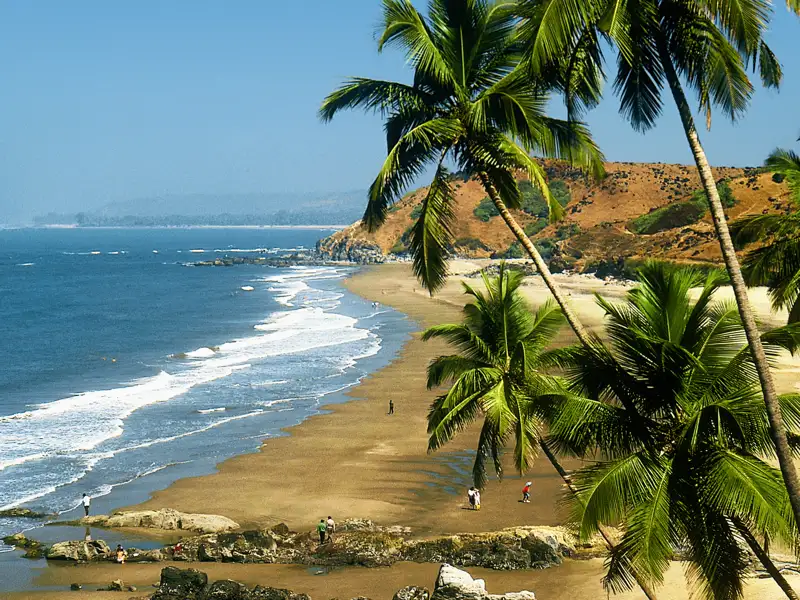 Zum Abschluss Ihrer individuellen Reise durch Süd- und Zentralindien besuchen Sie die Strände von Goa und enstpannen zwei Tage, bevor es zurück nach Hause geht.