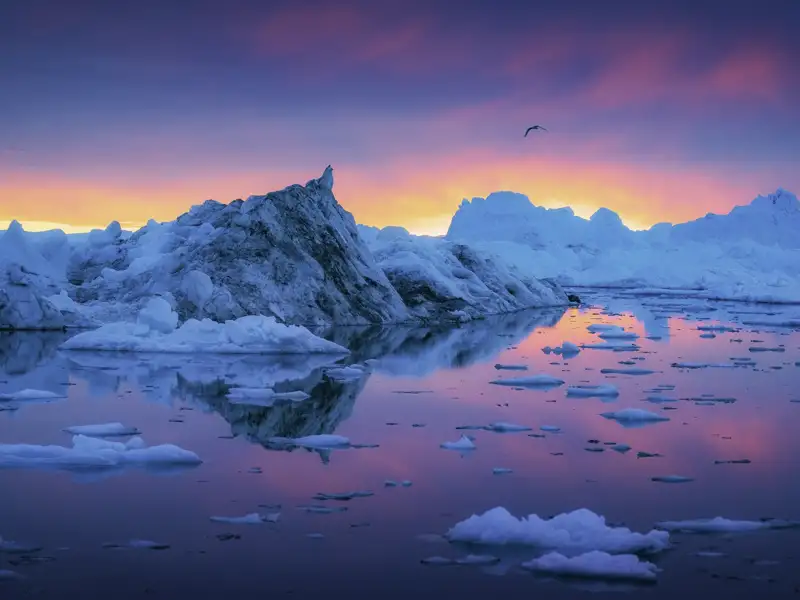 Der perfekte Ort, um auf Ihrer individuellen Reise nach Grönland die in der Diskobucht treibenden Eisberge zu bestaunen, ist Ilulissat.
