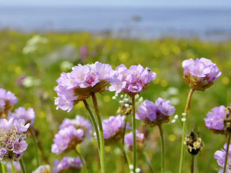 Genießen Sie auf Ihrer individuellen Reise nach Spitzbergen die tolle norwegische Landschaft!