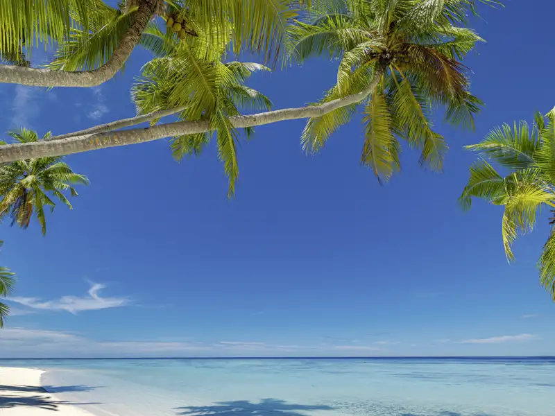 Auf Ihrer individuellen Reise Südafrika - Mauritius erwartet Sie ein Badaufenthalt an den weißen Traumstränden von Mauritius.