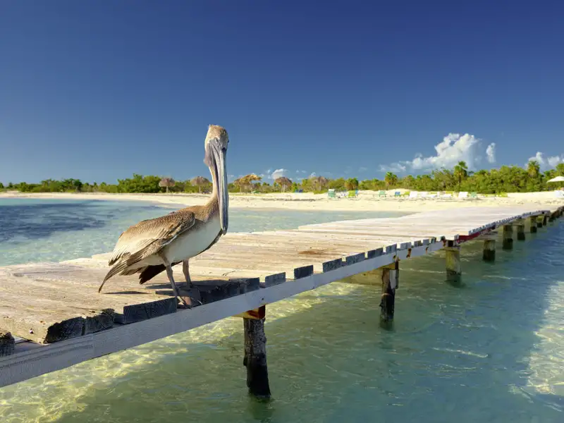Der Sandstrand auf Ihrer Reise lädt zum Spazieren, Schwimmen und Schnorcheln ein.