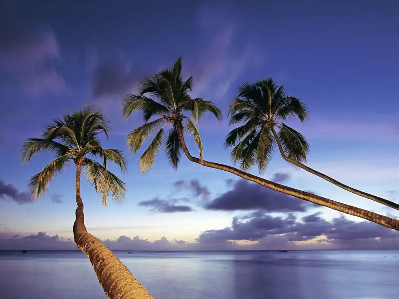 Die abgelegenen Buchten auf unserer Reise mit ihrem rosafarbenen Sand und dem kristallklaren Wasser sind ein von üppiger Vegetation umgebenes Paradies, das bisher vom Massentourismus verschont geblieben ist.