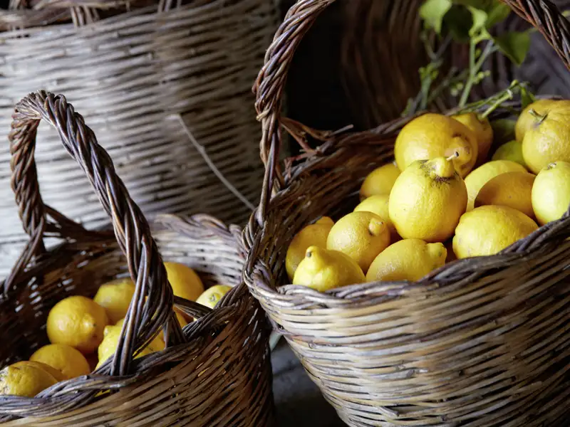 Der perfekte Abschluss eines erlebnisreichen Tages in Sizilien: eine erfrischende Granita al Limone aus frisch geernteten Zitronen