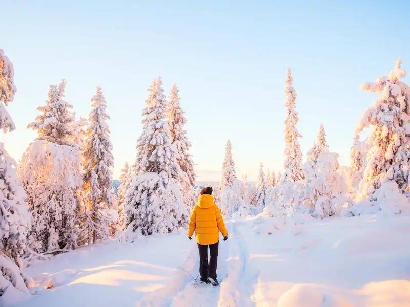Auf Ihrer Reise nach Lillehammer in Norwegen schweift unser Blick über die weite und verschneite Winterlandschaft.
