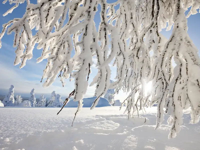 Auf der Reise nach Lillehammer in Norwegen schweift unser Blick immer wieder auf verschneite Winterlandschaften und die unendliche Weite.