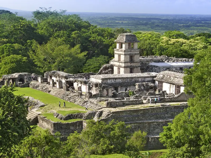Auf unserer Rundreise durch Mexiko besuchen wir die Mayastätte Palenque, spektakulär am Rande des Regenwaldes gelegen.