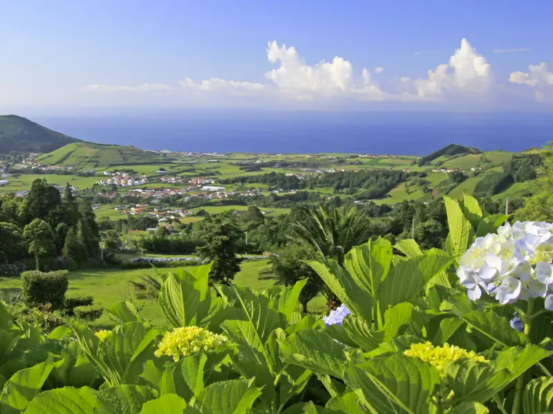 Immer wieder bieten sich uns auf der Rundreise Ausblicke auf die grüne Hügellandschaft der Azoren und dem Meer im Hintergrund, im Sommer blühen die Hortensien.
