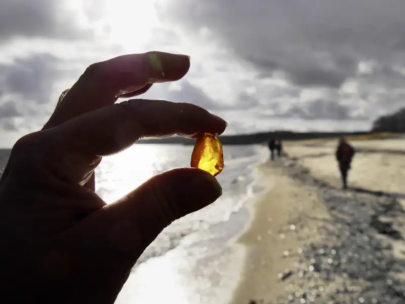 Mit etwas Glück finden wir bei einem Spaziergang an der Ostsee Bernstein auf unserer Rundreise durch das Baltikum.