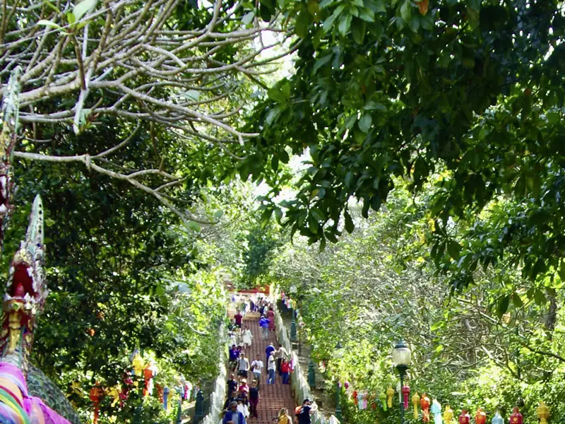 Der Aufstieg über die Stufen, die von traditionellen Laternen und Naga-Statuen flankiert werden, ist ein charakteristischer Teil des Besuchs desTempels Wat Phra That Doi Suthep auf dieser Reise.
