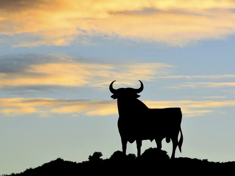 Entlang der Straßen Andalusiens sehen wir auf unserer Rundreise immer wieder die Silhouette des Osborne-Stiers - früher als Brandy-Werbung gedacht, gilt er heute als Symbol Spaniens.