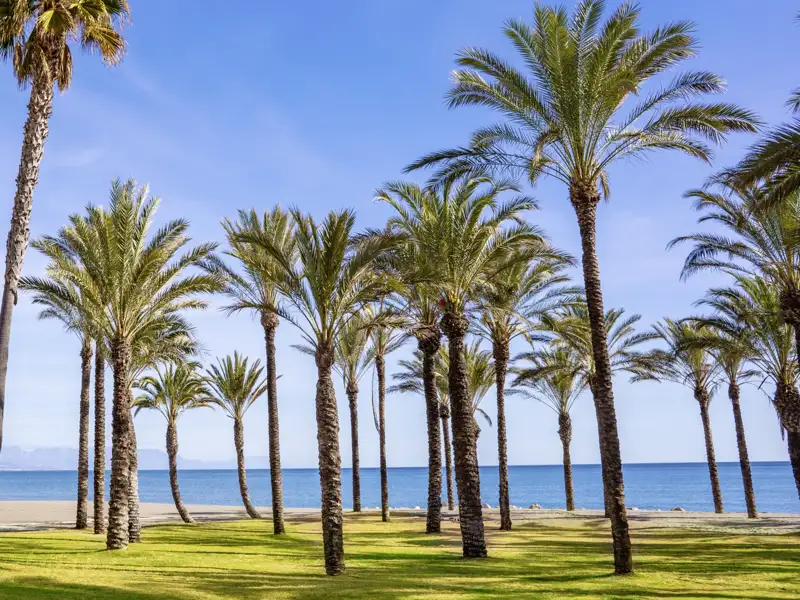 Unser Hotel der Rundreise durch Andalusien befindet sich nur wenige Minuten vom Strand entfernt. Lassen Sie es sich unter den Palmen gut gehen.