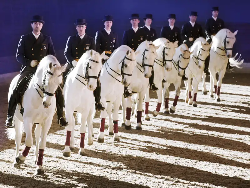 Da wir auf unserer Maro Polo Top Preis Reise nach Slowenien direkt am Gestüt Lipica wohnen, besuchen wir natürlich auch eine Reitvorführung der berühmte Lipizzanerpferde.