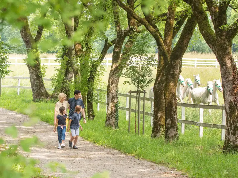 Immer mal raus ins Grüne können Sie auf unserer Marco Polo Top Preis Reise nach Slowenien.