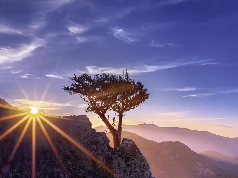 Auf unserer Reise nach Zypern erleben wir die verschiedenen Landschaften der Insel und erfahren viel über Flora und Fauna von unserer Reiseleitung.