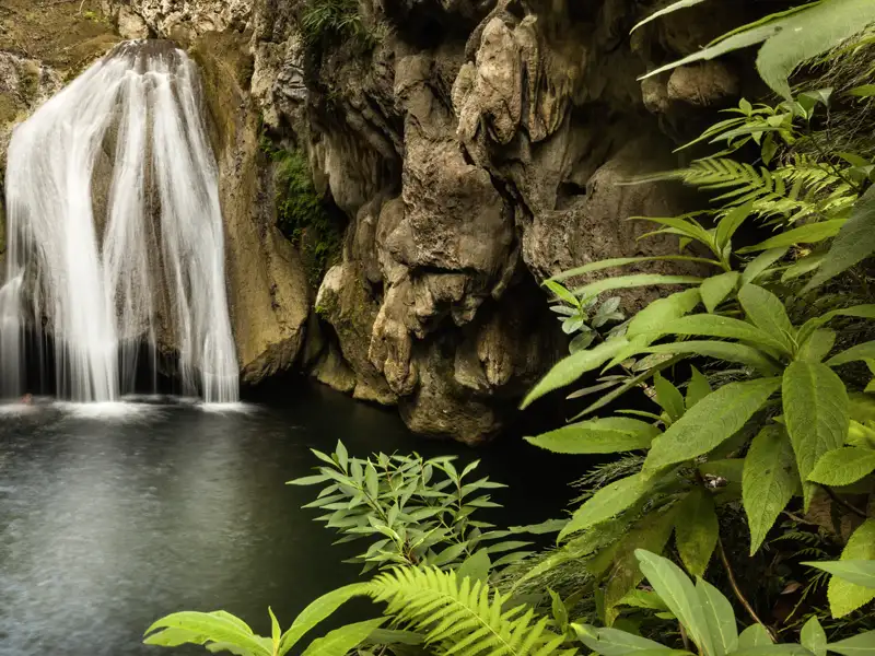 Mit Wanderschuhen im Tropengrün: Auf unserer Wanderung zum Wasserfall Javira führt der Weg durch üppige tropische Vegetation. Badesachen dabei? Das glasklare Wasser ist herrlich erfrischend - nur eines der vielen Erlebnisse auf der Marco Polo-Reise durch Kuba!