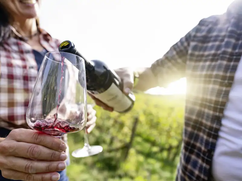 Bei einer Weinprobe wird Rotwein in ein Weinglas eingeschenkt.