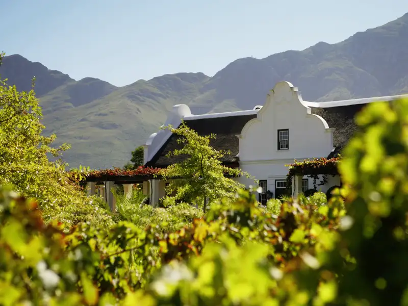 Ein Weingut in traditioneller kapholländischer Architektur  in den Weinbergen der Kapregion