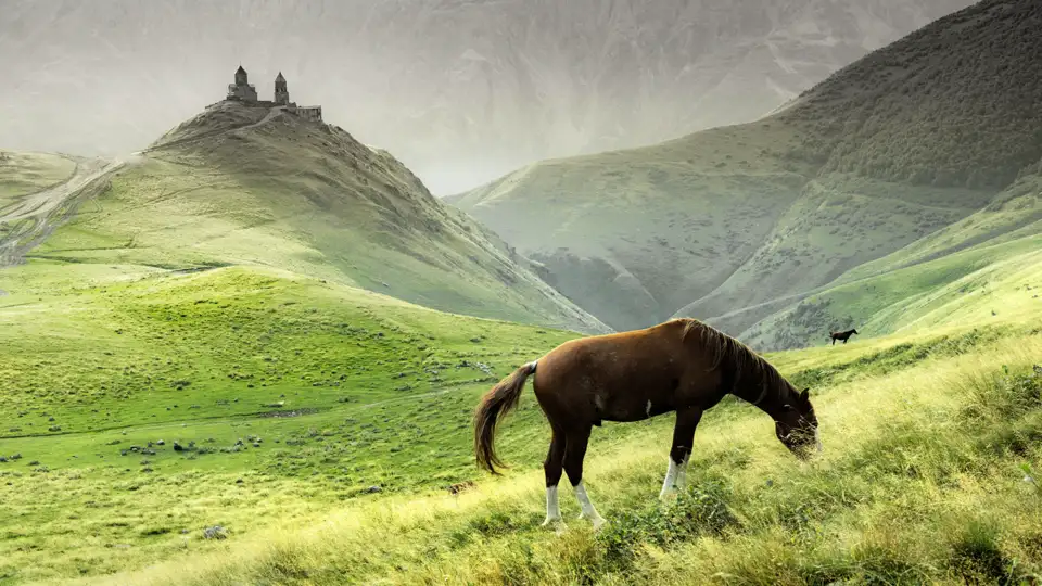 Auf Ihrer individuellen Rundreise durch Georgien unternehmen Sie einen Ausflug zur Gergeti-Dreifaltigkeitskirche - bei guter Sicht mit Ausblick auf den Kasbeg. Möglichkeit zu einer kleinen Wanderung.