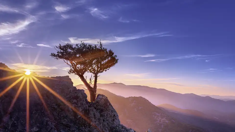 Auf unserer Reise nach Zypern erleben wir die verschiedenen Landschaften der Insel und erfahren viel über Flora und Fauna von unserer Reiseleitung.