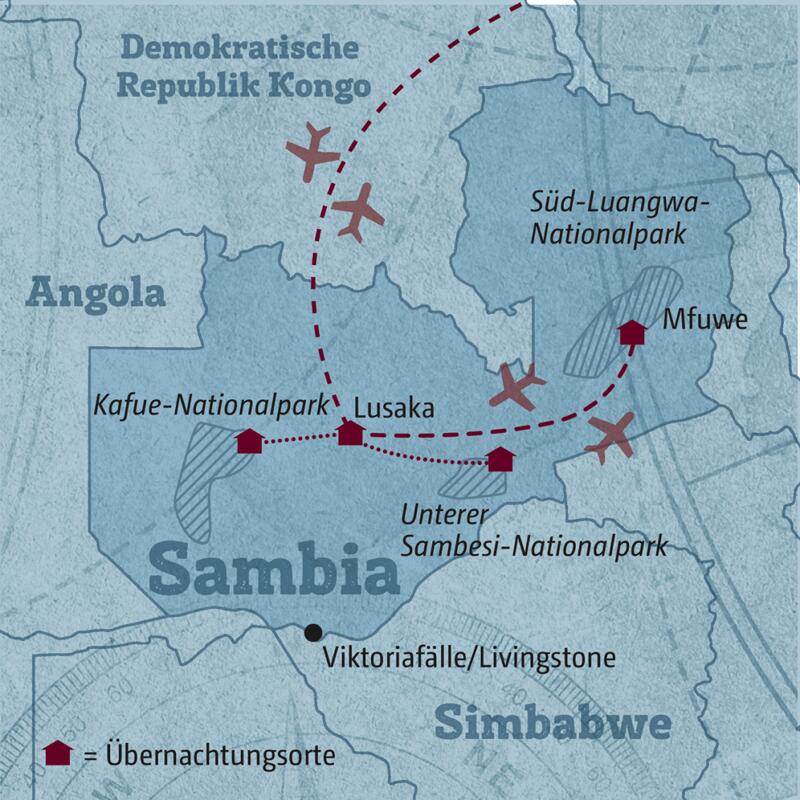 Auf dieser individuellen Reise durch Sambia erkunden Sie die schönsten Nationalparks. Von Lusaka führt die Route in den Kafue-Nationalpark, in den Unteren-Sambesi-Nationalpark und als Highlight in den Süd-Luangwa-Nationalpark.